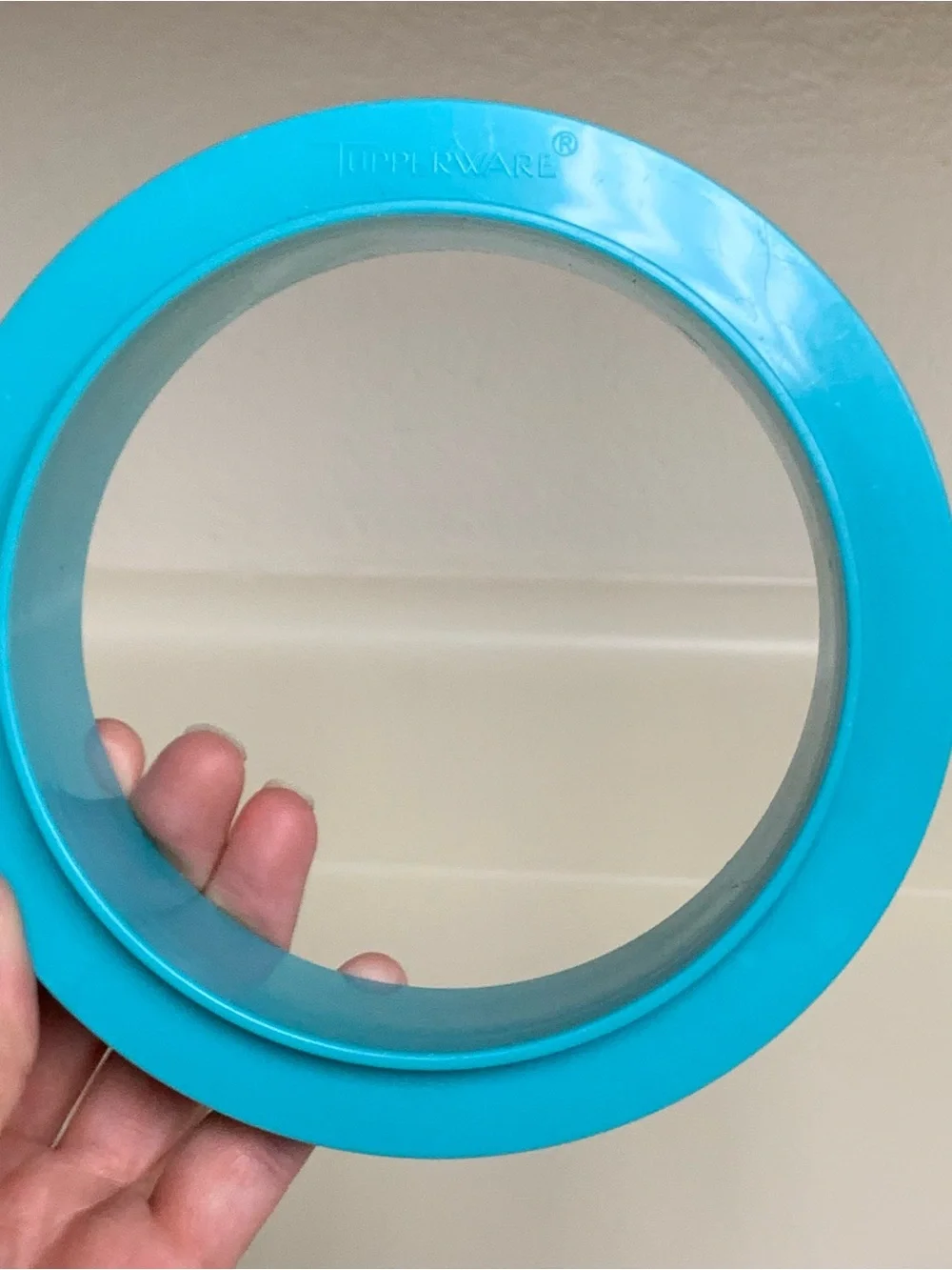 vintage Tupperware hamburger Press And Ring Collar Only Teal Purple meal prep